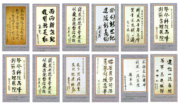安徽省合肥仁爱中医医院领导人题词